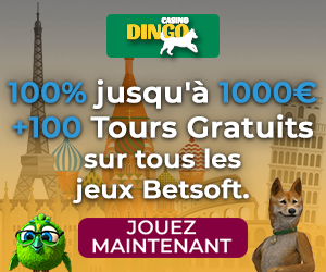 Nouveau casino Dingo