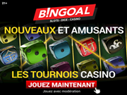 Fiche : Bingoal Casino